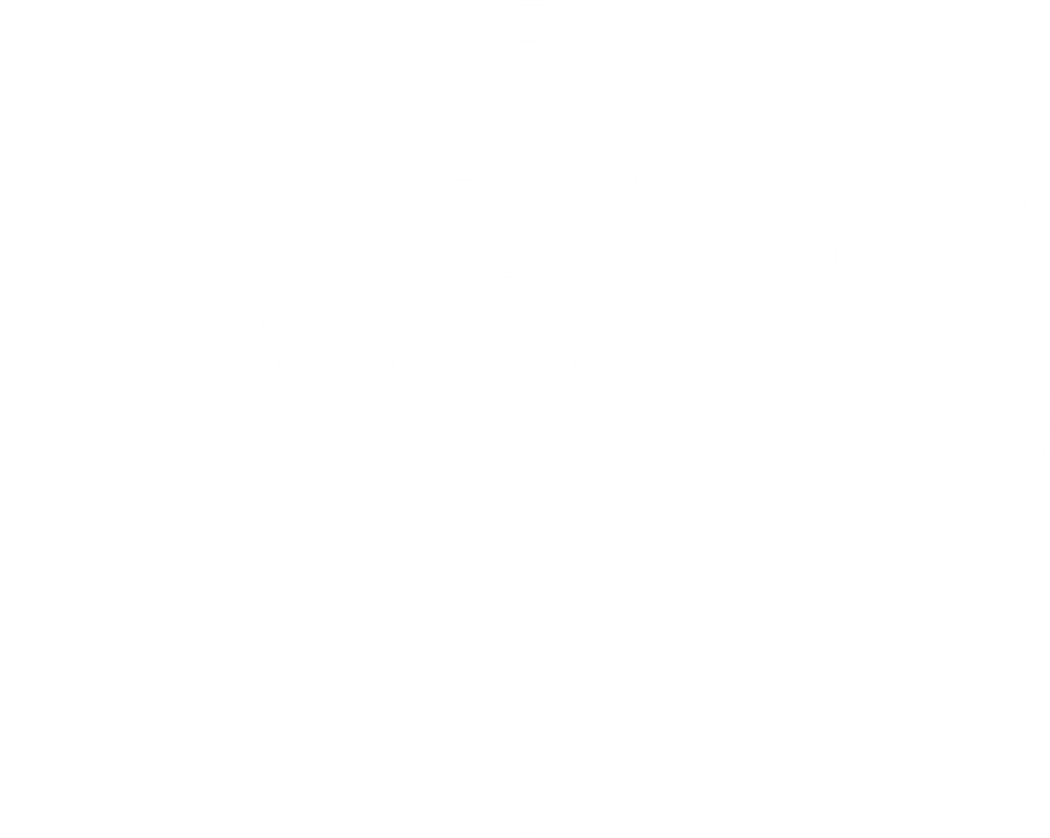 Ball Dawgs logo